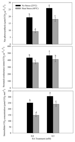 Figure 5. Net photosynthesis, stomatal conductance, and intercellular CO2 concentration in wheat (Triticum aestivum L.) cv WH 711 at 30 DAS. Plants were grown with/without heat stress and treated with foliar 0.5 mM SA at 15 DAS. Data are presented as treatments mean ± SE (n = 4). Data followed by same letter are not significantly different by LSD test at p < 0.05.