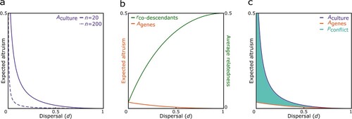 Figure 1. Ancestor worship can lead to ancestor-descendant conflict. a) In smaller groups (n = 20) ancestor worship can increase the overall level of altruism among co-descendants Aculture to a greater extent than in larger groups (n = 200) since average relatedness of co-descendants decreases with group size, b) the amount of altruism expected from genetic relatedness Agenes decreases with increasing dispersal whereas average relatedness between co-descendants rco-descendants increases since it becomes more likely to encounter closely related opposed to distantly related co-descendants (here, n = 20), and c) the potential for ancestor-descendant conflict Pconflict is greatest in more viscous populations since the probability of meeting a co-descendant – which determines the culturally encouraged amount of altruism Aculture – would be high, but the average degree of genetic relatedness between co-descendants rco-descendants – which modulates the genetically expected amount of altruism Agenes – would be low (here, n = 20).