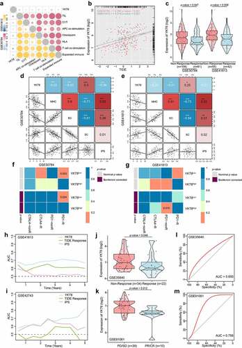 Figure 7. YKT6 expression could predict the clinical benefit of ICB. (a) The negative correlation between YKT6 expression and immune signatures in GSE30784, GSE41613 cohorts. (b) The mRNA expression of YKT6 is correlated with TIDE score in GSE30784 and GSE41613. (c) BoxViolinplot representation of YKT6 expression in the putative immunotherapeutic response versus non-response group from TIDE in GSE30784 and GSE41613 cohorts. (d-e) The correlation between YKT6 and MHC, EC, SC, IPS score in GSE30784 and GSE41613. (f-g) Submap analysis manifested that YKT6 low group could be more sensitive to the anti-PD-1 treatment in GSE30784 and GSE41613. P-values were obtained after being adjusted. (h-i) The comparison of AUC of YKT6, TIDE Response and IPS score for OS in GSE41613 and GSE42743. (j-k) BoxViolinplot illustrates the distribution of YKT6 for patients with different immunotherapeutic response in GSE35640 and GSE91061 cohorts. (l-m) ROC curves measuring the predictive value about objective response to ICB in GSE35640 and GSE91061 cohorts; *p < 0.05, **p ≤ 0.01, and ***p ≤ 0.001