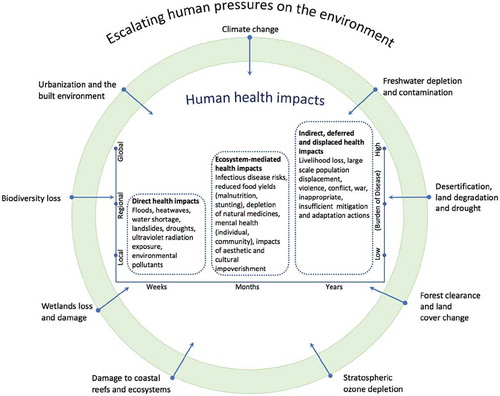 FIGURE 1. Harmful Effects of Environmental Change and Ecosystem Impairment on Human HealthSource: Adapted from Refs. Citation14 and Citation15