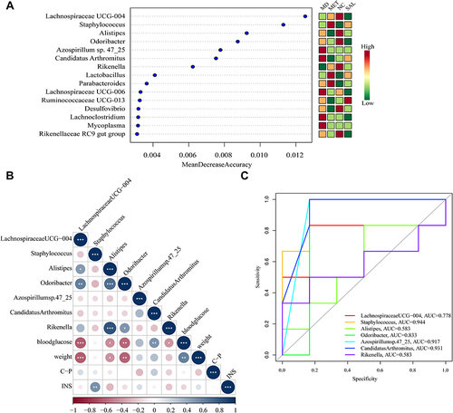Figure 4 Identification of the signature gut microbiota, associated with diabetes, by random forest method. (A) The relative abundance of each bacterial genus was analyzed by random forest method in the 24 samples, ranked according to Mean decrease accuracy. (B) Pearson correlation analysis between the top 7 genera and environmental factors with the highest mean decrease accuracy value (*P < 0.05; **P < 0.01; ***P < 0.001). (C) ROC analysis of the top 7 genera with the highest mean decrease accuracy value.