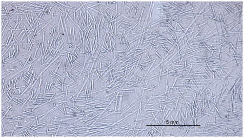 Figure 5. Light microscopic image of discontionuos glass FRC which is used in bilayered direct resin composite restorations.