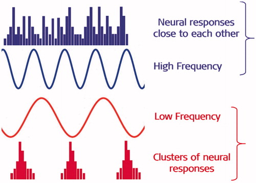 Figure 2. Low-frequency sound signals in the cochlear apex produce clusters of neural responses which the brain can identify separately, whereas the high-frequency sound signals in the cochlear base produce neural responses that are close to each other so that the brain cannot identify them separately. Image courtesy of MED-EL.