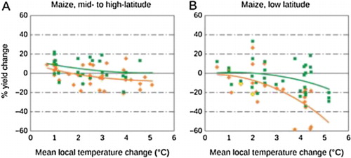 Figure 3. Sensitivity of cereal yield (maize) to climate change (Jayaraman Citation2011).