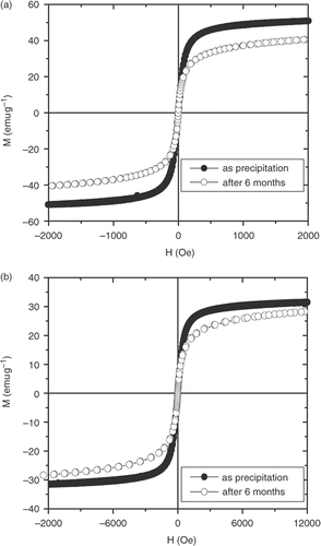 Figure 8. Hysteresis loops of uncoated magnetite (a) and starch-coated magnetite (b) after precipitation and after 6 months.