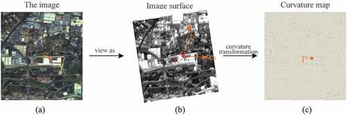 Figure 3. The transformation from natural domain to curvature domain. (a) Image in natural domain. (b) Image surface. (c) The curvature map of (a) in curvature domain.