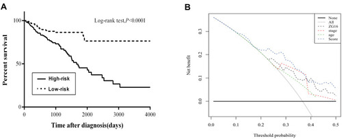 Figure 8 The overall survival curves of high-risk group and low-risk group divided by prognostic score based on ZG16 (A). The DCA curves of multiple predictive models (B).