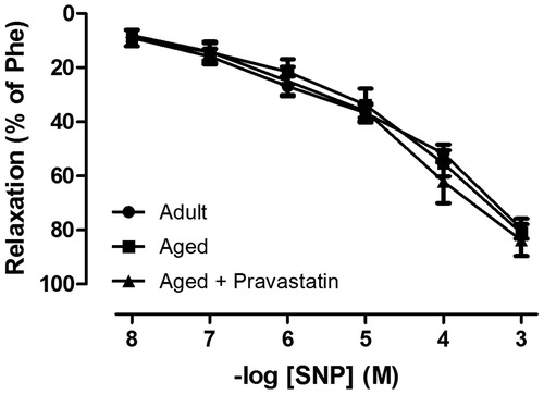 Figure 3. The relaxation response of corpus cavernosum to sodium nitroprusside (SNP, 10 nM–1 mM) in adult rats, aged rats and aged rats treated with pravastatin. All values are expressed as mean ± SEM. n = 8 for all groups.