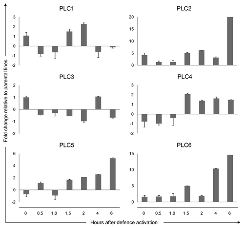 Figure 1.PLC expression during the activation of defense in the Cf-4/Avr4 tomato seedlings. In Cf-4/Avr4 seedlings, defense signaling is activated by the interaction between the resistance protein Cf-4 and the matching C. fulvum effector Avr4. Defense is initiated by a shift in the growth conditions of the plants (see text for details). The Cf-4/Avr4 seedlings and a 1:1 mixture of the seedlings from the parental Cf-4- and Avr4-carrying lines (control) were harvested at the indicated time points after defense initiation and expression of the different tomato PLCs was analyzed by quantitative Real-Time PCR. The relative PLC expression levels in the Cf-4/Avr4 plants were calculated using the expression of the tomato Actin gene as an internal reference to normalize for the amount of template present in the different samples. PLC expression in the parental lines was used as a control to calculate the fold change in the Cf-4/Avr4 plants for a given time point. Relative expression is presented for the six tomato PLC genes (PLC1 to -6). Error bars represent the standard error of two quantitative PCR samples from the same cDNA archive. The experiment was performed twice, with similar results.