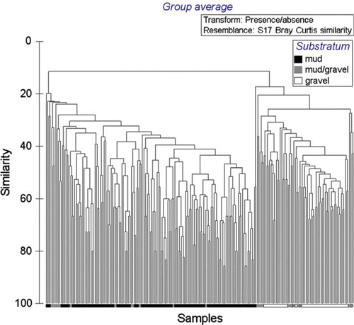 Fig. 11  Dendrogram of similarity in faunal composition of all sites (n=228), all substratum types, eastern Waiheke Island, using presence/absence data.