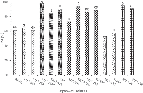 Fig. 2 Mean disease severity index (DSI) for 14 isolates of five Pythium species, averaged across six soybean cultivars in Petri plate germination assays. Significant differences are indicated by different letters or letter ranges from Tukey’s grouping of least square means (α = 0.05). Species of isolates: Pythium sylvaticum (1–3) = PS 352, M17-539, M17-156; P. aphanidermatum (4–6) = M17-166B, KS17-419, 34P; P. ultimum var. ultimum (7–10) = KN17-155, M17-238, PU 350, 12Py391; P. irregulare (11–12) = M17-533, PI 354; P. spinosum (13–14) = KS17-63, KS17-230.