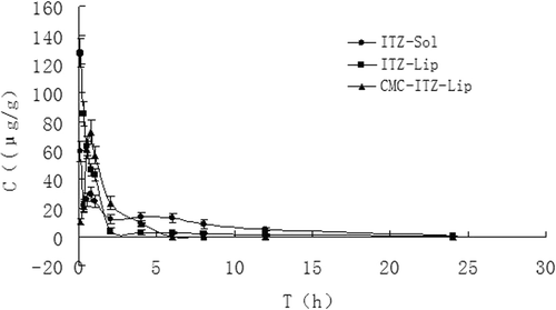 Figure 6.  The distribution of mice liver tissues at different time points after the intravenous administration of ITZ-Sol, ITZ-Lip, and CMC-ITZ-Lip (n = 5).