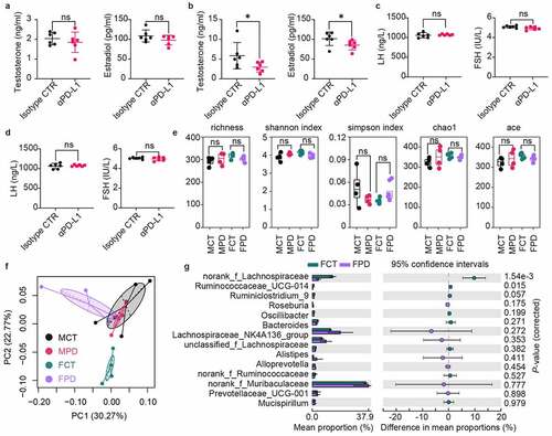 Figure 2. Sex dimorphism in response to anti-PD-L1. Serum levels of testosterone and estradiol in female (a) or male (b) mice one week later after twice administration of anti-PD-L1 or Isotype IgG. Changes of serum LH and FSH in female (c) or male (d) mice post treatment with anti-PD-L1. (e) No differences were observed in alpha diversity of the gut microbiota between the treated group and the control group in either males or females. a-e, Mann–Whitney test. (f) Principal component analysis showed that gut microbiota composition was largely changed after anti-PD-L1 treatment in female mice at OTU level (ANOSIM, R = 0.323, P = .002; PERMANOVA, pseudo-F = 1.879, P = .001). (g) Statistical analysis of taxonomic and functional profiles (STAMP) showing differential families between FPD and FCT. P-values were derived from a White’s non-parametric t-test. Female IgG control group, FCT; Female anti-PD-L1 treated group, FPD; Male IgG control group, MCT; Male anti-PD-L1 treated group, MPD. All data were presented as means ± SEM. *P < .05