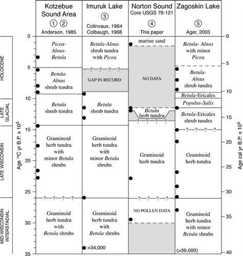 Figure 4 Chart comparing central Beringian vegetation histories derived from pollen records from (1) Kaiyak Lake and (2) Squirrel Lake near Kotzebue Sound, northwest Alaska (CitationAnderson, 1985, 1987); (3) Imuruk Lake, Seward Peninsula (CitationColinvaux, 1964; CitationColbaugh, 1968); (4) USGS Core 76-121, Norton Sound (CitationMuhs et al., 2003; this paper); and (5) Zagoskin Lake, St. Michael Island, Norton Sound (CitationAger, 1983, Citation2003).