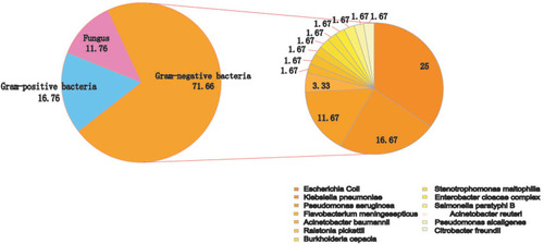 Figure 1 Distribution of 60 isolated pathogenic bacteria pathogen.