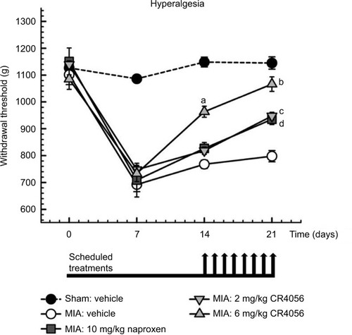Figure 2 MIA model of OA pain: effect of CR4056 and naproxen on mechanical hyperalgesia. Rats were injected with 1 mg/50 μl of MIA or saline (sham group) in the right knee. Mechanical withdrawal threshold (in grams) was evaluated in the ipsilateral knee using a Pressure Application Measurement (PAM) device, prior and 7, 14, and 21 days after MIA injection. CR4056 (2 and 6 mg/kg) and naproxen (10 mg/kg) were administered orally, once a day under the schedule indicated by the arrows positioned in the graph below the axis of time (days). Data, collected 90 minutes after the drug administration, represent the mean±SEM of six animals per group.