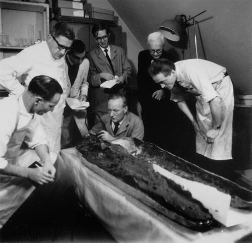 Fig 7 Opening the lead coffin of 9-year-old Anne Mowbray (d 1481) in 1964, in the presence of archaeologists, conservators and pathologists from the London Museum, Guy’s Hospital and Hammersmith Hospital.© Museum of London; reproduced with permission.