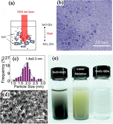 Figure 5. (a) Schematic illustration of the formation of the SnO2 QDs using SnO as precursors by the pulsed laser ablation process; (b) TEM image, (c) histogram of diameter distribution, and (d) HRTEM of the SnO2 QDs in water; (f) Photos of the mixture of SnO powder and H2O (left), the mixture after laser fragmentation (middle) and the mixture of SnO2 QDs and water after centrifugation (right). Reprinted with permission from Ref. [Citation59]. Copyright 2010 the Royal Society of Chemistry.