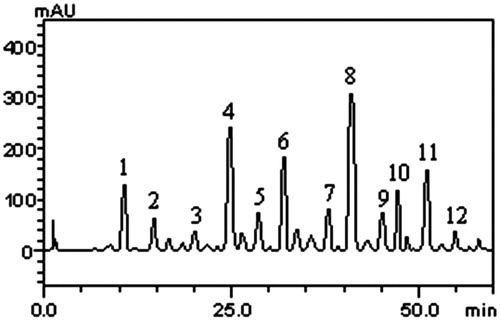 Figure 1. Representative high-performance liquid chromatography profile of Melissa officinalis. Gallic acid (peak 1), catechin (peak 2), chlorogenic acid (peak 3), caffeic acid (peak 4), rosmarinic acid (peak 5), ellagic acid (peak 6), epicatechin (peak 7), rutin (peak 8), isoquercitrin (peak 9), quercitrin (peak 10), quercetin (peak 11) and kaempferol (12). TR, retention time.
