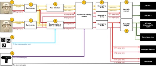 Figure 3. Signal processing flowchart. Eye tracker signals and scene camera images are combined with known locations of ArUco markers and a top camera video (left-hand side of flowchart) to produce Area-of-Interest based measures on the table or face, paired gazed states, a gaze-gaze distance, and a gaze-overlaid movie (right-hand side of flowchart). See main body for description of the individual processing steps.