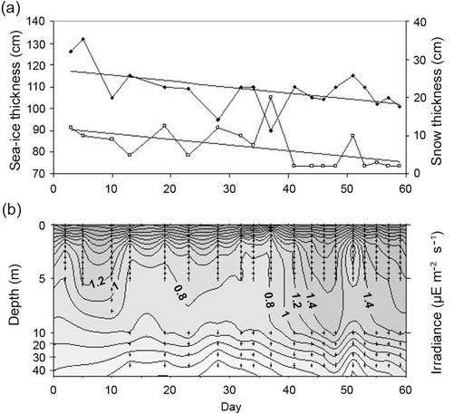 Fig. 5 Temporal variation of (a) ice thickness (y= − 0.2704x+118R 2=0.2655) and snow (y= − 0.1492x+12.011R 2=0.2762), and (b) sub-ice irradiance (µE m−2 s−1) at station R1 in Pierre Lejay Bay from 1 November 2001 (day 1) to 29 December 2001 (day 59). Diamond: ice thickness; square: snow depth.