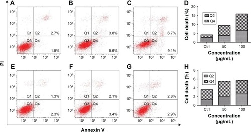 Figure 3 GO and rGO nanosheets-induced PC12 cell apoptosis.Notes: PC12 cells were treated with GO and rGO nanosheets at doses of 0, 50, or 100 µg/mL for 24 h: (A and E) control; (B and C) PC12 cells treated with 50 or 100 µg/mL GO NPs. (D) Relative cell death after GO treatment. (F and G) PC12 cells treated with 50 or 100 µg/mL rGO NPs. (H) Relative cell death after rGO treatment.Abbreviations: Ctrl, control; GO, graphene oxide; rGO, reduced graphene oxide; NPs, nanoparticles; PI, propidium iodide.