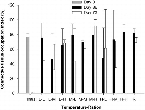 Figure 4 Mean connective tissue occupation index (± SD) of 2-year-old P. zelandica after 36 and 73 days of conditioning in three water temperatures (L = low, 7–8 °C; M = medium, 11–12 °C; H = high, 16–17 °C) and three feeding rations (10,000, 50,000 and 100,000 cells mL−1). Additional geoducks were sampled at the start of the experiment (Initial group) and others were conditioned in pond water as a comparative reference group (R).