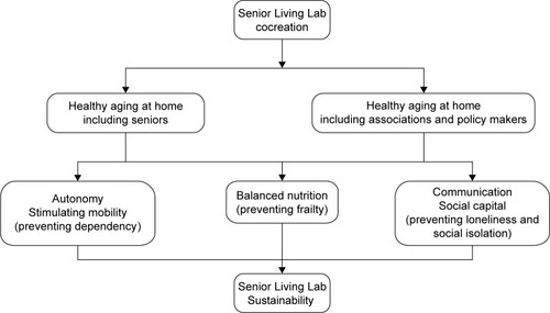 Figure 1 Strategy of the Senior Living Lab.