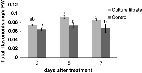 Figure 8. Effect of culture filtrate of F. graminearum on flavonoids content. All data are presented as the means ± SD with n = 3. Means with different letters are significant at P ≤ 0.05 as determined by the Duncan test.