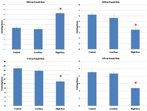 Figure 4. Effect of MgO NPs on the levels of lipid peroxide (MDA) and antioxidative enzymes (SOD, CAT, GPx) in different groups in female rats. Values were expressed as Means ± SD.
