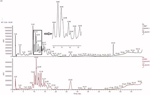 Figure 3. HPLC chromatogram of the ethyl acetate fraction of L. barbarum at 278 nm and 340 nm, respectively.