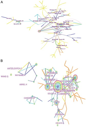 Figure 7. The analysis of authors. (a) Network of authors contributed to sodium channel research; (b) Network of co-cited authors engaged in sodium channel research.