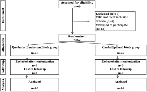 Figure 2. CONSORT flow chart of the studied cases.