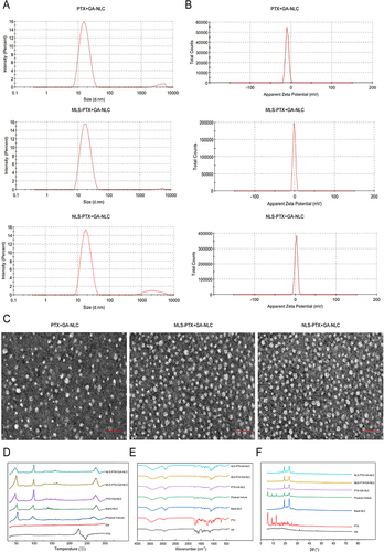 Figure 1 (A–C) Characteristics of PTX+GA-NLC, MLS-PTX+GA-NLC and NLS-PTX+GA-NLC. (D–F) DSC, FTIR and XRD of different preparations, respectively.