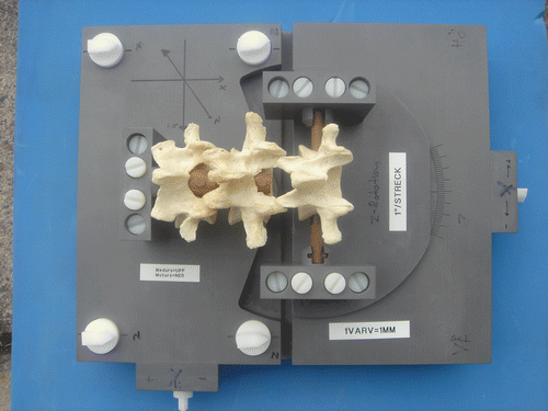 Figure 1. The phantom. Three vertebrae are attached to a base plate. L4 and L5 are secured rigidly to the base plate, and L3 is translated using screws.