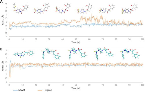 Figure 3. Graph showing analysis of ligand RMSD for MD simulation time of 100 ns on hCA IX (PDB ID: 5DVX) (A) change in conformations of 6c. (B) change in conformations of 7c.