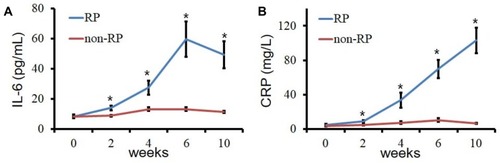 Figure 1 Changes in the levels of IL-6 during the radiotherapy. (A) the serum level of IL-6 between RP group and non-RP group (* P < 0.05); (B) the serum level of CRP between RP group and non-RP group (* P < 0.05).Abbreviations: RP, radiation pneumonia; IL-6, interleukin-6; CRP, C-reactive protein.