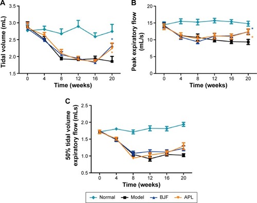 Figure 4 Effect of Bufei Jianpi formula (BJF) and aminophylline (APL) on pulmonary function of chronic obstructive pulmonary disease rats.Notes: BJF (4.84 g/kg) and APL (2.3 mg/kg) were administered intragastrically once daily from weeks 9 to 20. Tidal volume (A), peak expiratory flow (B), and 50% tidal volume expiratory flow (C) were detected every 4th week from weeks 0 to 20. Values represent the mean ± standard error of mean. *P<0.05 vs model.