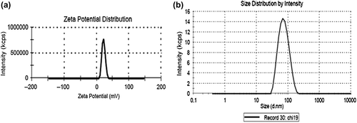 Figure 2. (a) Zeta potential of prepared nanoparticles and (b) size distribution of prepared nanoparticles both obtained from nanosizer.