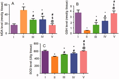 Figure 11. Effects of NIZ oral pretreatment on ethanol-induced changes in oxidative stress markers of (A) MDA, (B) GSH, and (C) SOD in the gastric tissue. I, II, III, IV, and V are as under Figure 6. Data are mean ± SD, n = 6. Statistical differences at P < 0.05 were considered significant. *, #, $, @ as under Figure 8.