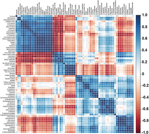 Figure 1. Heatmap of correlation matrix of the volatile compounds in Thai Oolong tea No. 12. The correlation coefficient of volatiles are colour coded from deep red (−1) to deep blue (1).