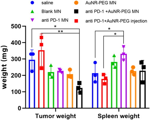 Figure 24. Tumor and spleen weight of euthanized mice on day 13 (n = 3).