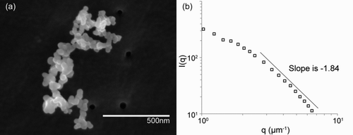 FIG. 3 (a) SEM image of a single aggregate. These aggregates constitute the repeating units of the superaggregates observed in this study. (b) Large-angle structure analysis measured an ensemble of the aggregates in part (a) to have a negative slope (Df ) ≈ 1.8, consistent with the DLCA growth mechanism.