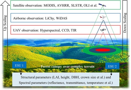 Figure 1. Multi-scale observations in the FOREST experiment.