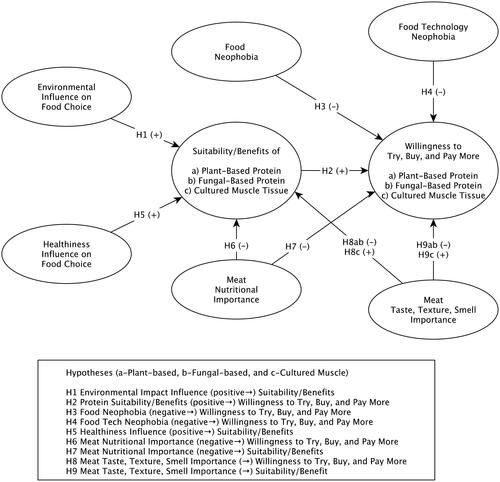 Figure 1. Conceptual framework.