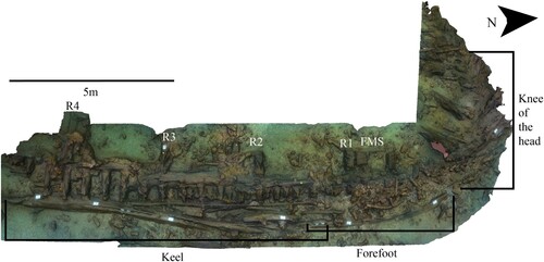 Figure 23. A 3D shaded model produced from the 2017 photogrammetry survey of the exposed structure of the lower hull. R1–4 – riders 1–4, F – frames, FMS – fore mast step (survey and model produced by Daniel Pascoe).