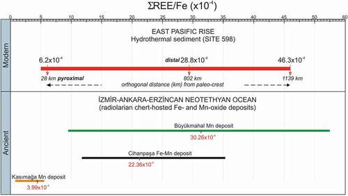 Figure 11. Comparison of ΣREE/Fe values of Late Cretaceous radiolarian chert-hosted Fe- and Mn-oxide deposits from Turkey and modern hydrothermal sediments from the East Pacific Rise (Ruhlin & Owen, Citation1986). All data of the radiolarian chert-hosted Fe-Mn oxide deposits from the mélange complexes belonging to the İzmir-Ankara-Erzincan Neotethyan ocean are for comparison. (Kasımağa, Kırıkkale, Koç et al., Citation2000; Büyükmahal, Yozgat, Öksüz & Okuyucu, Citation2014). Chemical analyses of radiolarian chert are from the Vezirler mélange (Kula, Manisa, western Turkey) (unpublished data, Aytaçegerler, Citation2020)