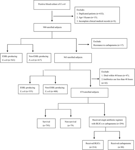 Figure 1 Case identification flow chart.