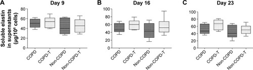 Figure 4 Soluble elastin levels in the supernatants of cultures of fibroblasts from patients with COPD (n=6) and without COPD (non-COPD; n=6).Notes: Soluble elastin levels were determined in supernatants collected 24 hours after the final siRNA treatments. Versican siRNA treatment did not significantly affect soluble elastin levels in either the COPD or non-COPD cell lines. (A) Untreated confluent cultures from COPD and non-COPD patients sampled on day 9 compared to versican siRNA-treated (COPD-T and non-COPD-T) cultures. Cultures were treated only once on day 8. (B) Untreated and treated COPD and non-COPD cultures treated twice on days 8 and 15 and sampled day 16. (C) Untreated and treated COPD and non-COPD cultures treated three times on days 8, 15 and 22 and sampled day 23.Abbreviation: siRNA, small interfering RNA.