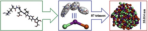 Figure 7 Mesoscale simulation course of RGDV-gemcitabine forming a sized particle.Abbreviations: RGDV-gemcitabine, 4-(Arg-Gly-Asp-Val-amino)-1-[3,3-difluoro-4-hydroxy-5-(hydroxylmethyl)oxo-lan-2-yl]pyrimidin-2-one.